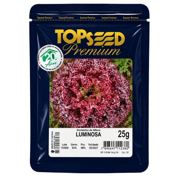 LECHUGA LUMINOSA