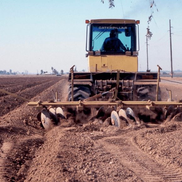 Buena preparación del terreno