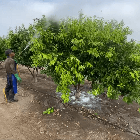 Lavado con detergente agrícola