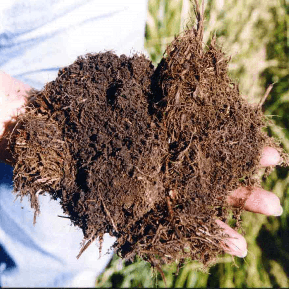 Materia orgánica inocua y descompuesta