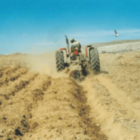 Preparación temprana y profunda del terreno