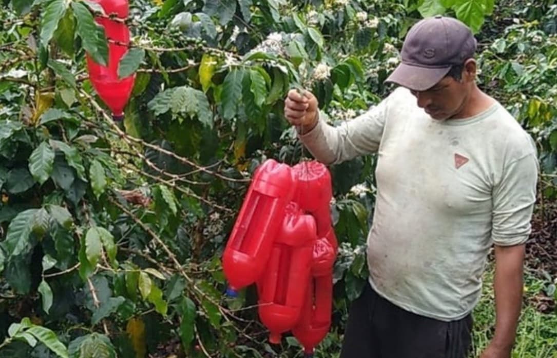 Trampas con botella