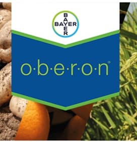 OBERON 240 SC
