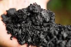 ¿Conoces el Biochar o carbón vegetal? Te explicamos sus características, beneficios y 8 pasos para prepararlo