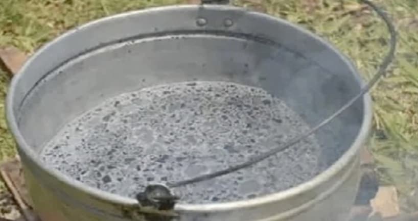 ¡Empleo de la Ceniza como insecticida y fungicida artesanal!