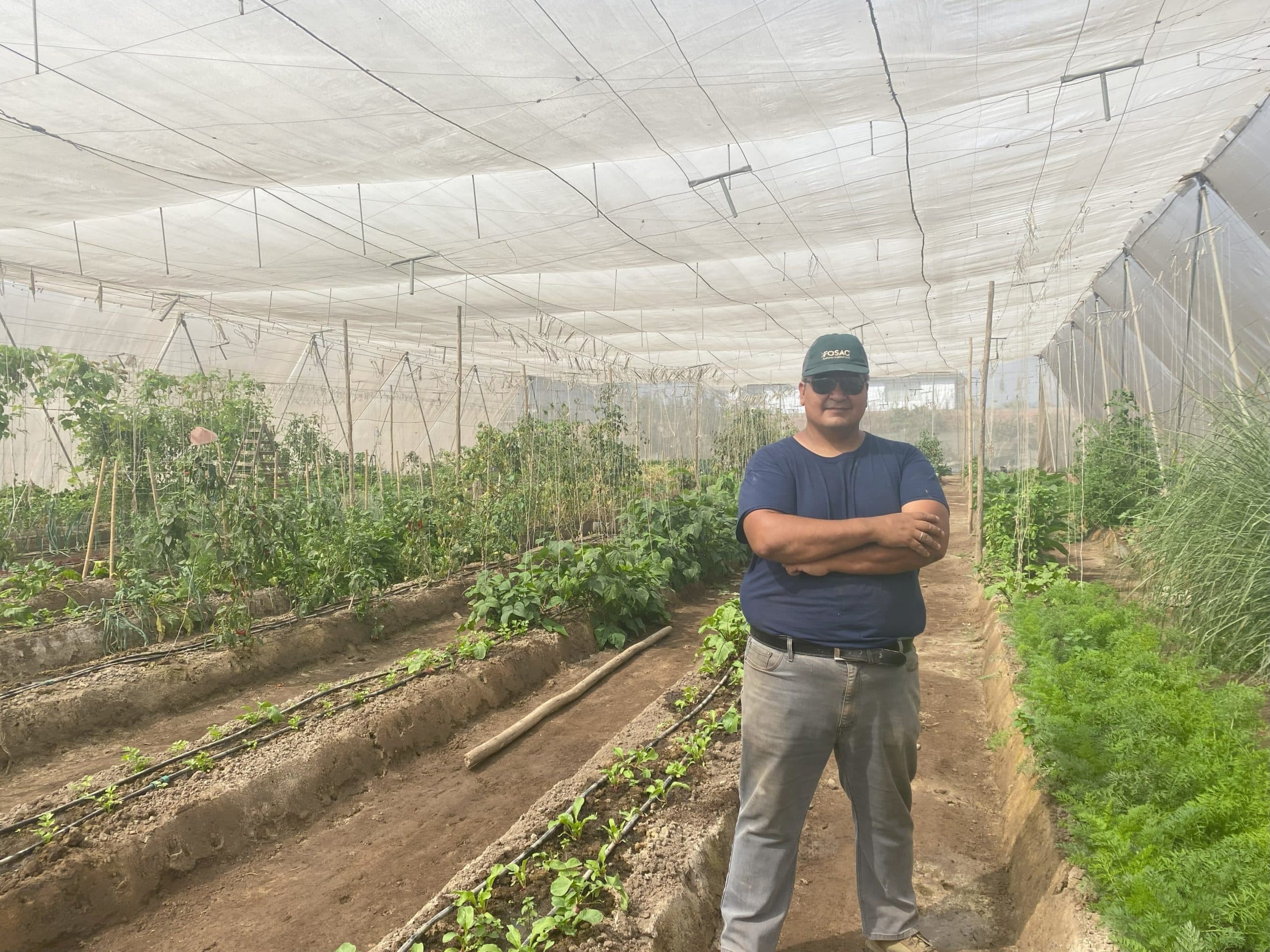 Entrevista FOSAC: Situación de la fertilización en el Perú y recomendaciones para mejorarla
