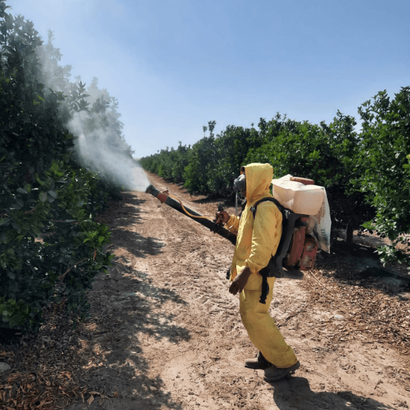 USO ADECUADO DE PESTICIDAS