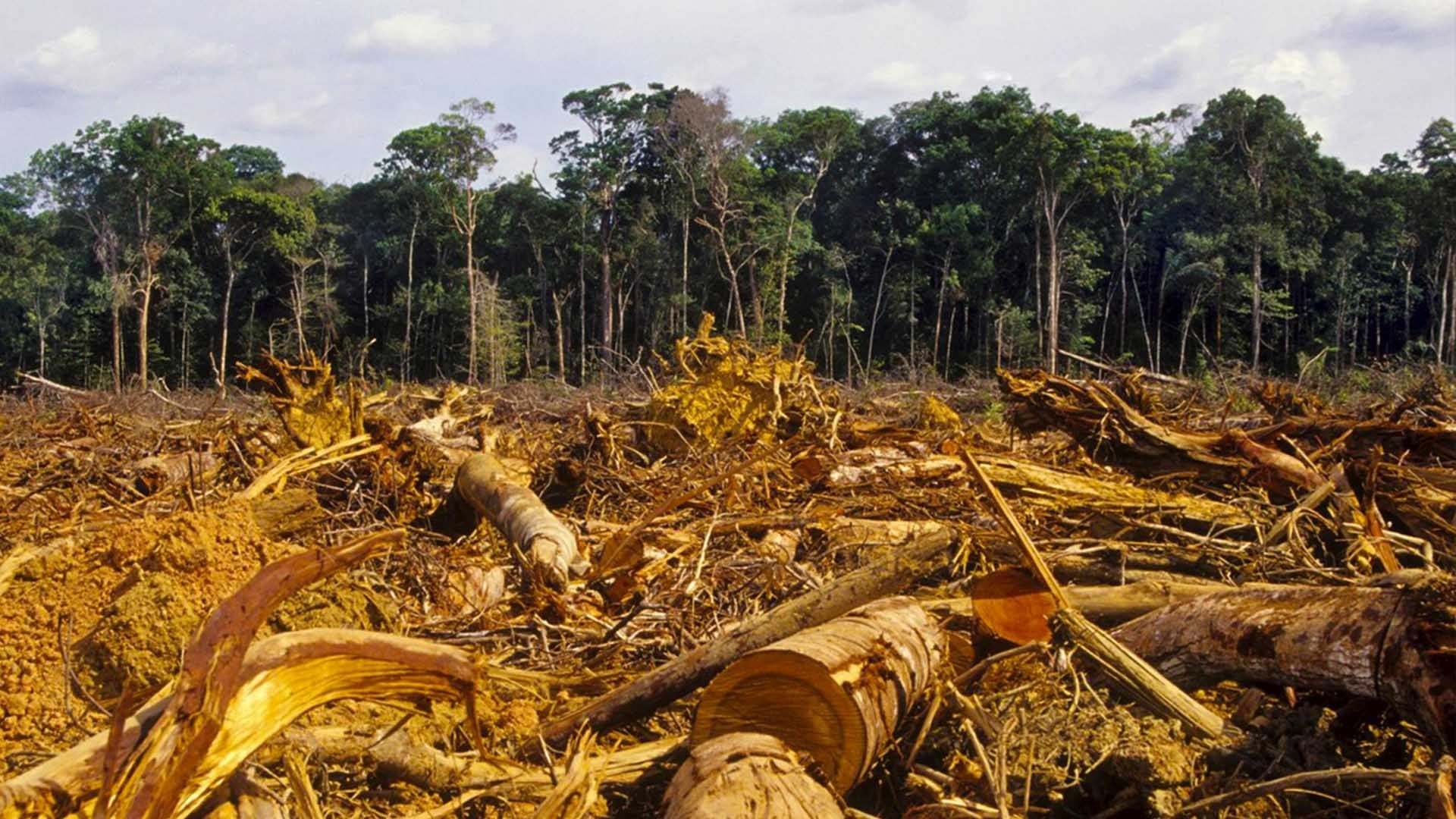 El Cambio Climático y su Efecto en la Agricultura: Estrategias frente a la Escasez de Agua y Mayor Radiación