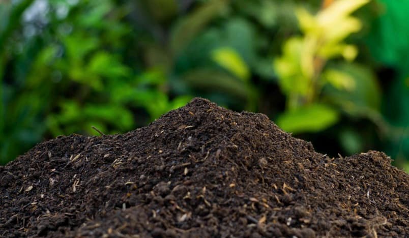 Fertilización Óptima: Importancia del Análisis de Suelo