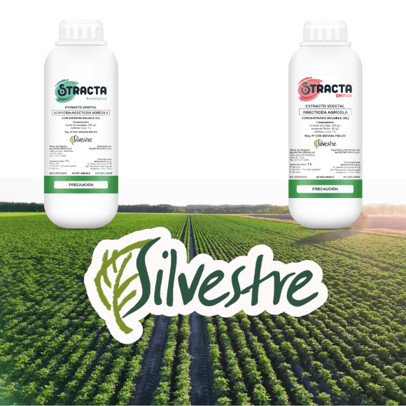 Silvestre presenta Stracta Eucaliptus y OH Max, Bioinsecticidas Vegetales para Control de Trips y Ácaros