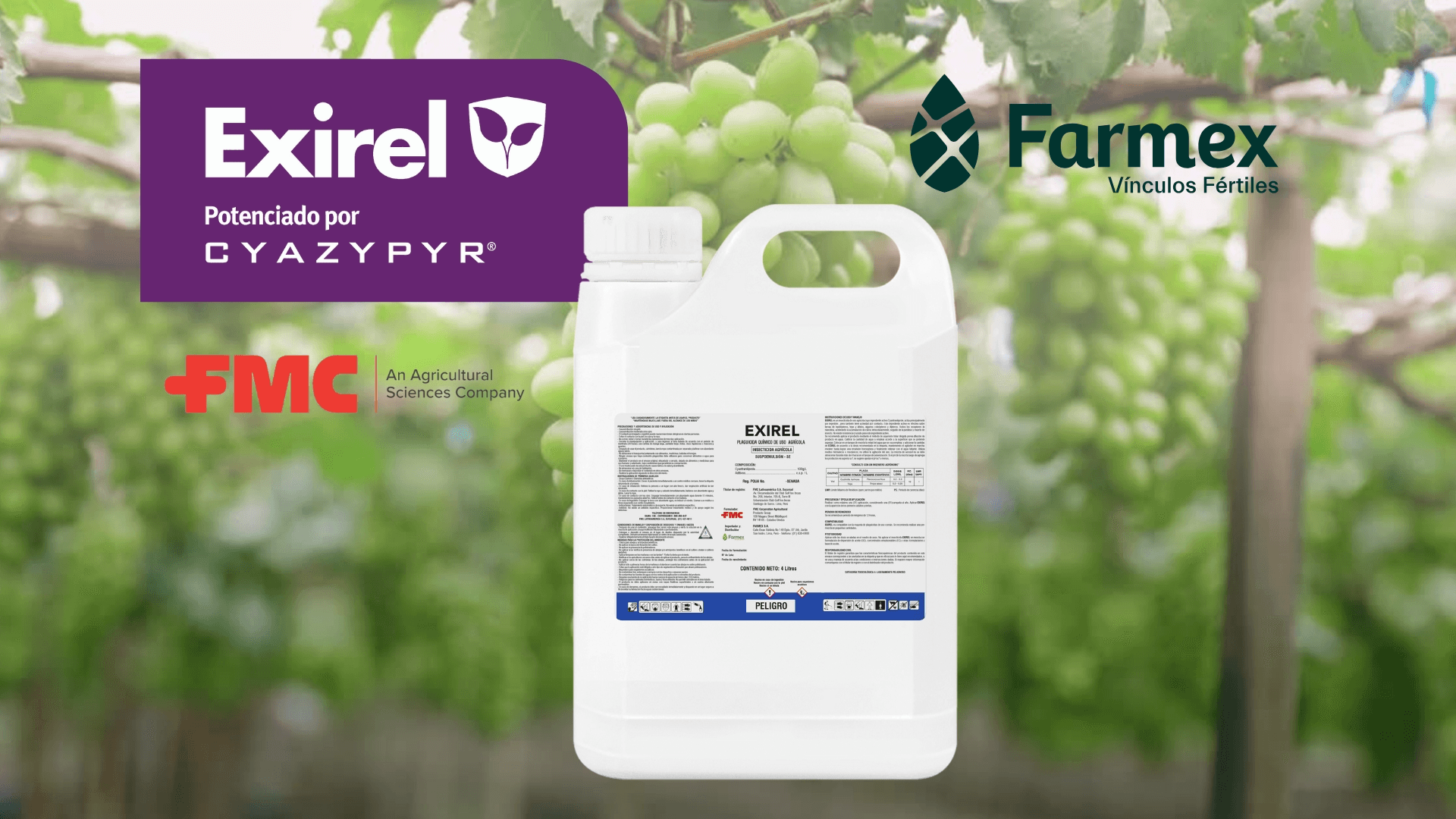 Farmex presenta Exirel, eficaz herramienta para el control de Chanchito y Trips en Vid