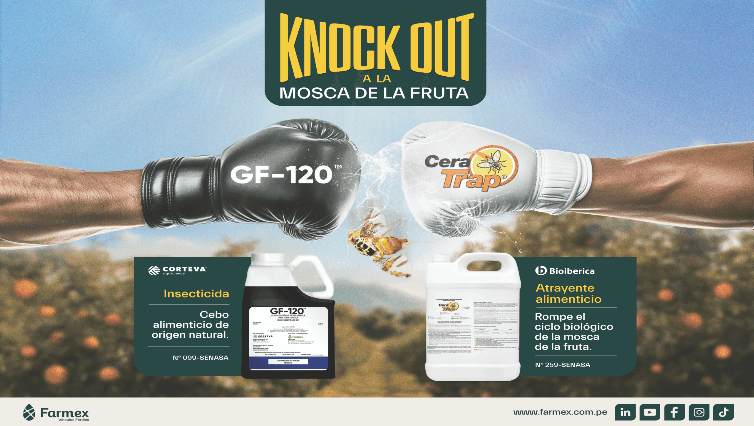 Cera Trap® y GF-120™: el KNOCK OUT sostenible para combatir la mosca de la fruta