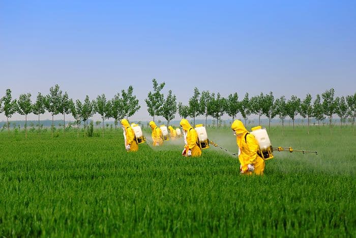¿Tu pesticida ya no controla la plaga? Aprende a prevenir la resistencia de los fitosanitarios
