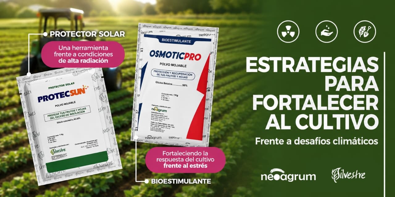 Grupo Silvestre: Bioestimulación agrícola para potenciar la productividad
