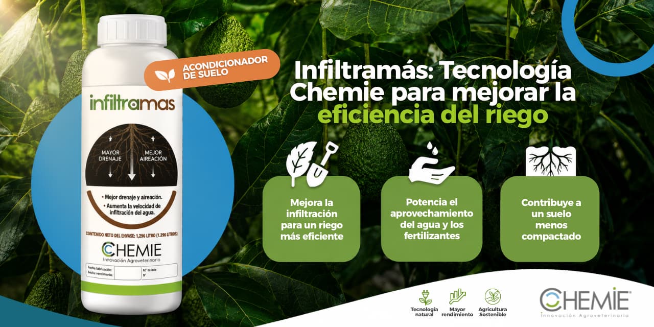 Chemie: Soluciones que mejoran la productividad agrícola