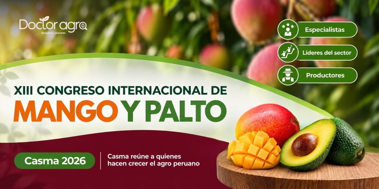 XIII Congreso Internacional de Mango y Palto 2026: Conocimiento, estrategias y oportunidades para el agro peruano