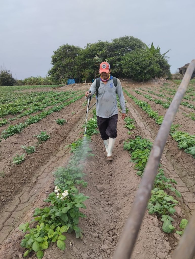 Uso en exceso de pesticidas