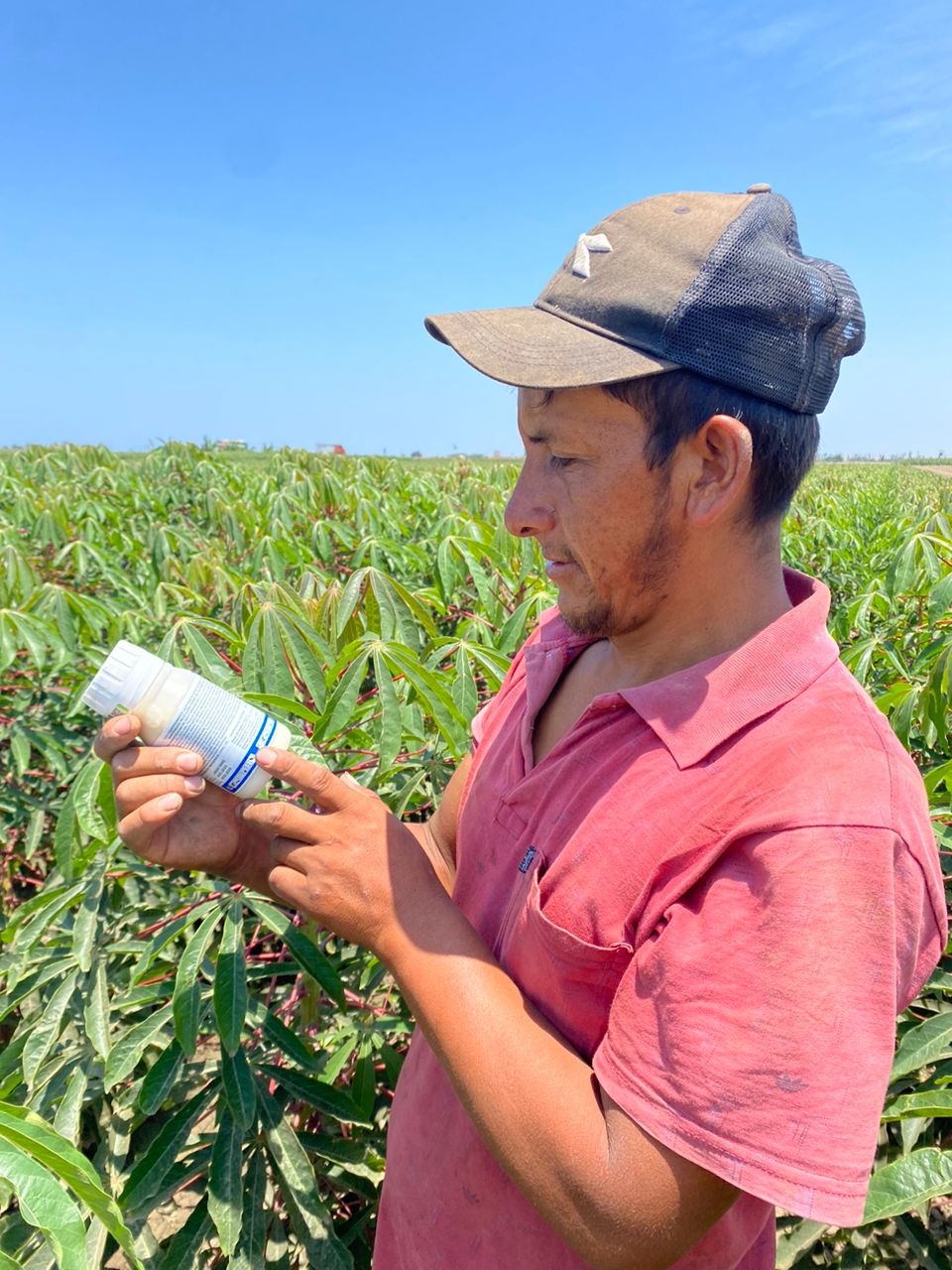 agricultor leyendo