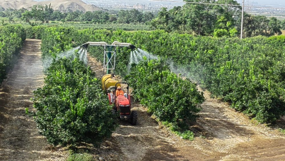 Aplicación aceite mineral agrícola