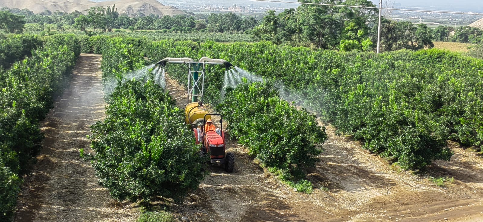 Aplicación aceite mineral agrícola