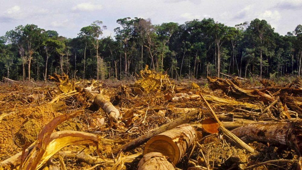 cambio climático