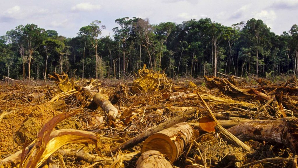 cambio climático