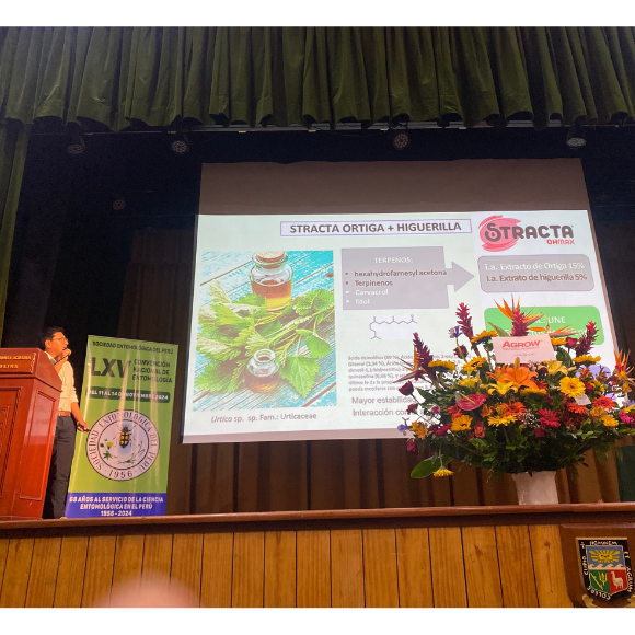 Silvestre Presenta Stracta Eucaliptus Y Oh Max Bioinsecticidas Vegetales Para Control De Trips