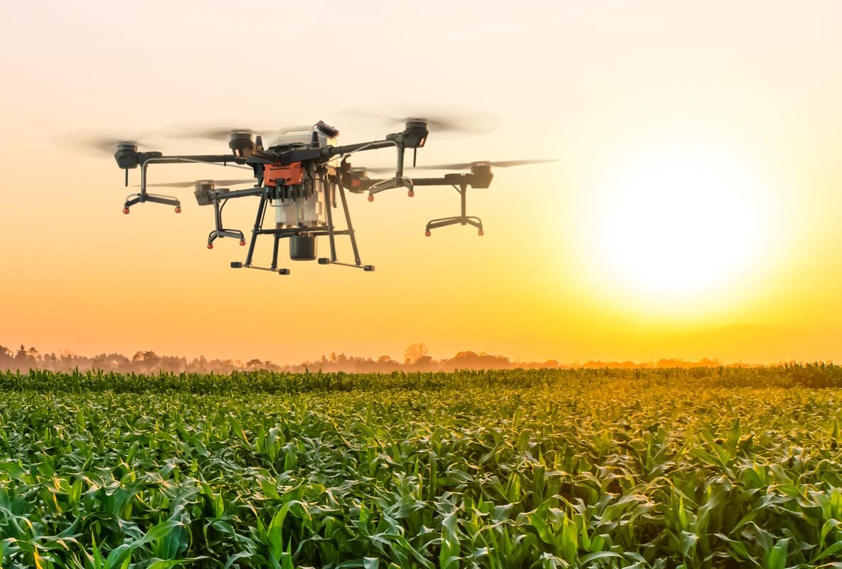 DJI agriculture spain sunset