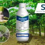 SAM Servicio agronomico de monitoreo BAYER
