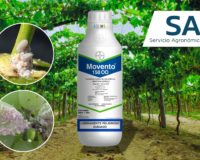 SAM Servicio agronomico de monitoreo BAYER