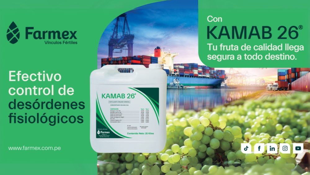 kamab planta de especialidades farmex