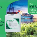 kamab planta de especialidades farmex
