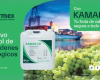 kamab planta de especialidades farmex