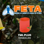 Feta Servicios Mosca de la fruta