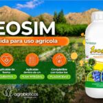 Agrobioticos portada teosim