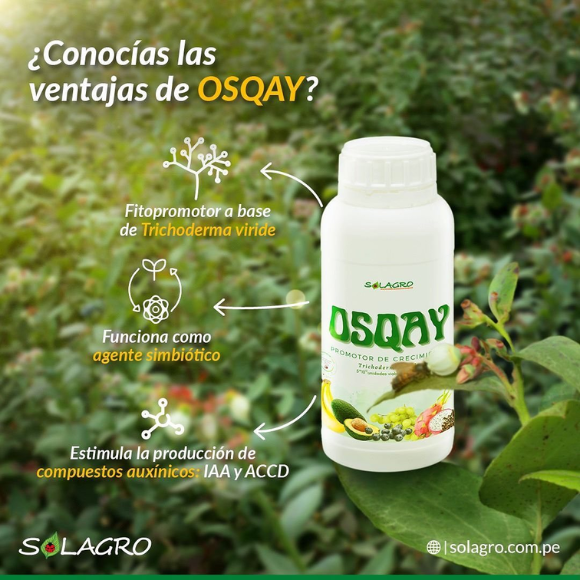 Osqay