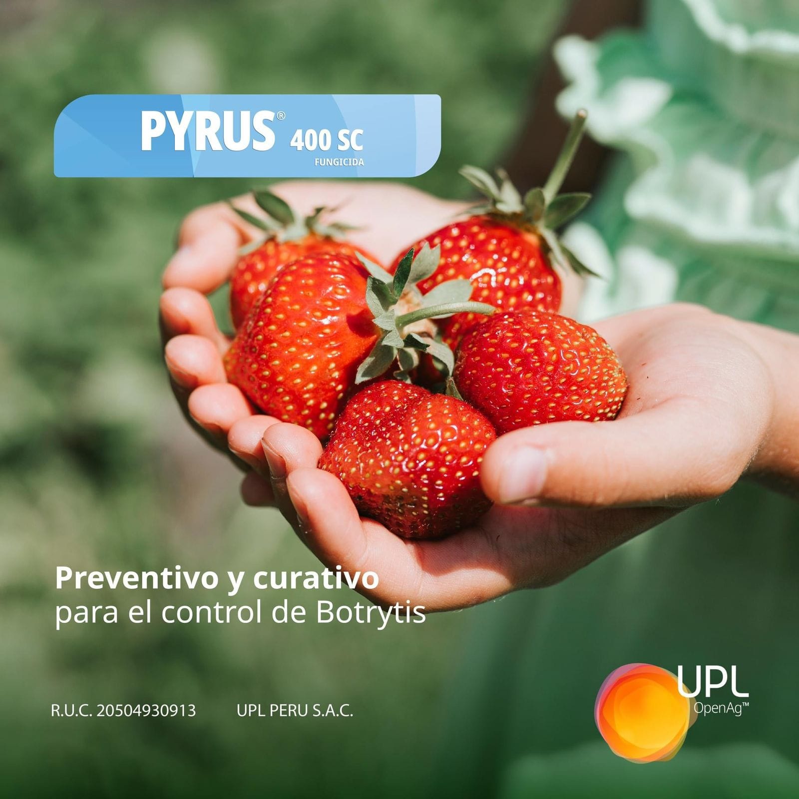 PYRUS 400 SC